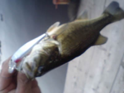  ブログ写真 2009/12/09