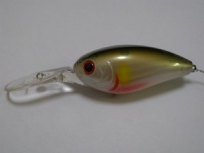 プロショップオオツカ バスフィッシング用品ネット通信販売 ブログ写真 2010/01/14