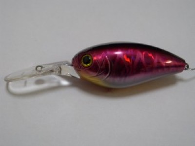 プロショップオオツカ バスフィッシング用品ネット通信販売 ブログ写真 2010/01/14