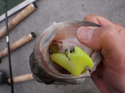 プロショップオオツカ バスフィッシング用品ネット通信販売 ブログ写真 2010/04/29