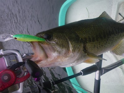 プロショップオオツカ バスフィッシング用品ネット通信販売 ブログ写真 2010/06/30