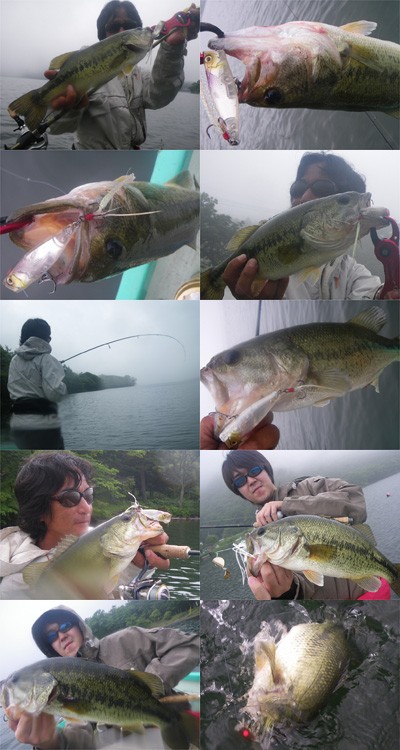 プロショップオオツカ バスフィッシング用品ネット通信販売 ブログ写真 2010/06/30