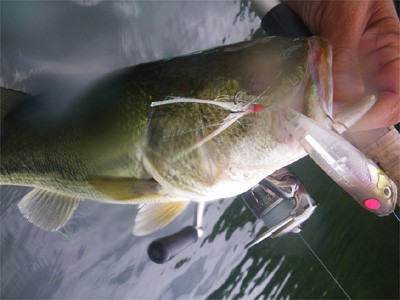 プロショップオオツカ バスフィッシング用品ネット通信販売 ブログ写真 2010/06/30