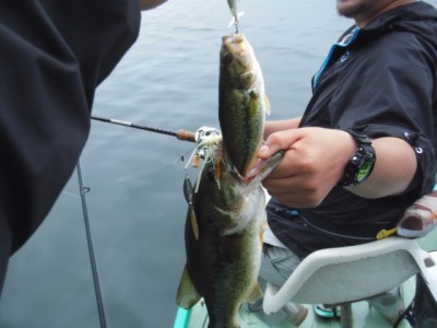 プロショップオオツカ バスフィッシング用品ネット通信販売 ブログ写真 2010/07/03