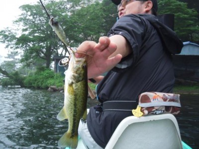 プロショップオオツカ バスフィッシング用品ネット通信販売 ブログ写真 2010/07/03