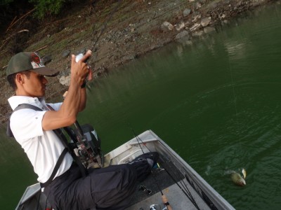 プロショップオオツカ バスフィッシング用品ネット通信販売 ブログ写真 2010/07/07