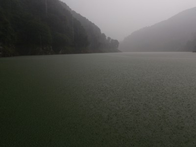 プロショップオオツカ バスフィッシング用品ネット通信販売 ブログ写真 2010/07/07