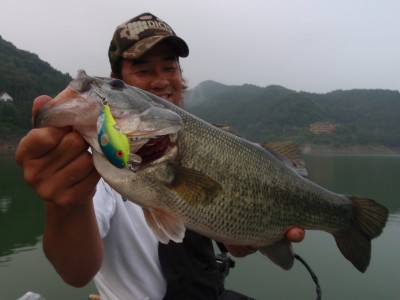 プロショップオオツカ バスフィッシング用品ネット通信販売 ブログ写真 2010/07/07