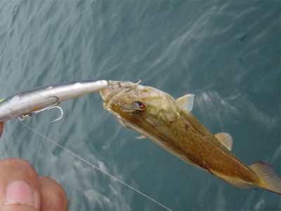 プロショップオオツカ バスフィッシング用品ネット通信販売 ブログ写真 2010/07/10