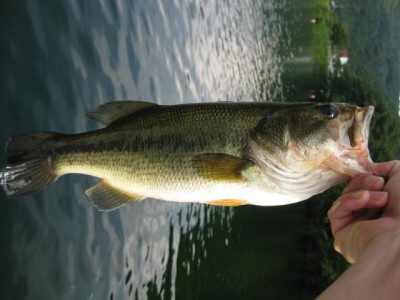 プロショップオオツカ バスフィッシング用品ネット通信販売 ブログ写真 2010/07/21