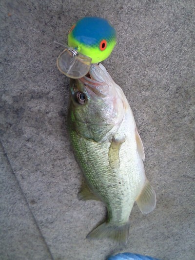 プロショップオオツカ バスフィッシング用品ネット通信販売 ブログ写真 2010/07/23