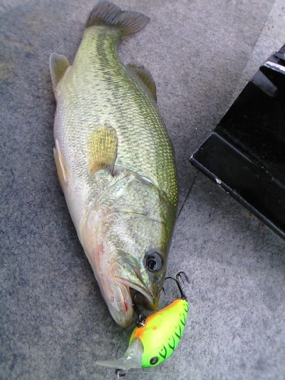 プロショップオオツカ バスフィッシング用品ネット通信販売 ブログ写真 2010/07/23