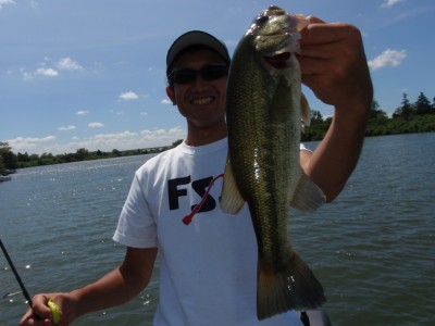 プロショップオオツカ バスフィッシング用品ネット通信販売 ブログ写真 2010/08/07