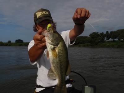 プロショップオオツカ バスフィッシング用品ネット通信販売 ブログ写真 2010/08/07