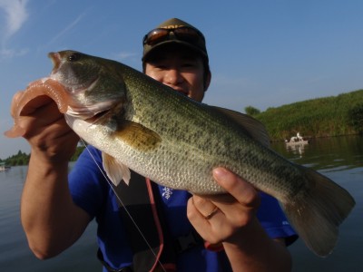 プロショップオオツカ バスフィッシング用品ネット通信販売 ブログ写真 2010/08/07