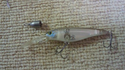 プロショップオオツカ バスフィッシング用品ネット通信販売 ブログ写真 2010/08/09