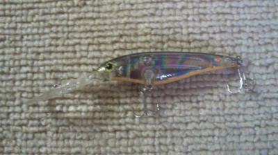 プロショップオオツカ バスフィッシング用品ネット通信販売 ブログ写真 2010/08/09