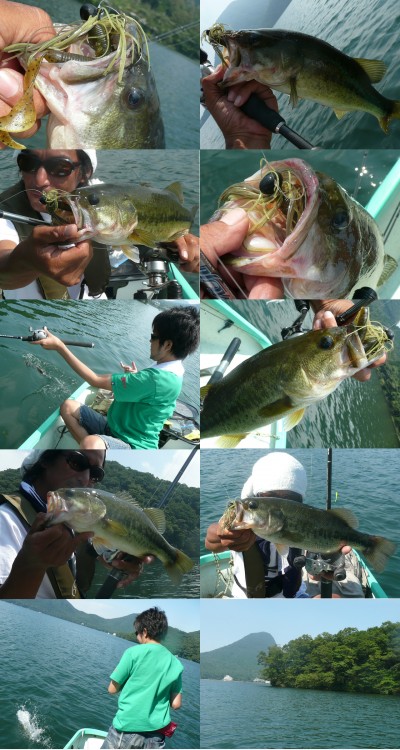 プロショップオオツカ バスフィッシング用品ネット通信販売 ブログ写真 2010/09/01