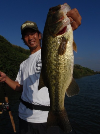 プロショップオオツカ バスフィッシング用品ネット通信販売 ブログ写真 2010/09/15