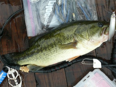 プロショップオオツカ バスフィッシング用品ネット通信販売 ブログ写真 2010/09/18