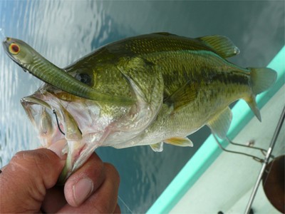 プロショップオオツカ バスフィッシング用品ネット通信販売 ブログ写真 2010/09/18