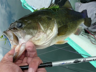 プロショップオオツカ バスフィッシング用品ネット通信販売 ブログ写真 2010/09/18