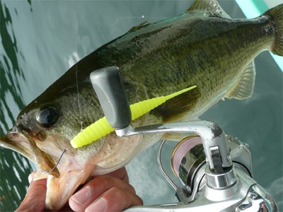 プロショップオオツカ バスフィッシング用品ネット通信販売 ブログ写真 2010/09/18