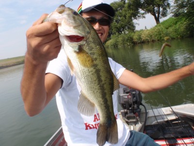 プロショップオオツカ バスフィッシング用品ネット通信販売 ブログ写真 2010/09/25