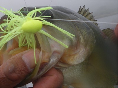 プロショップオオツカ バスフィッシング用品ネット通信販売 ブログ写真 2010/10/01