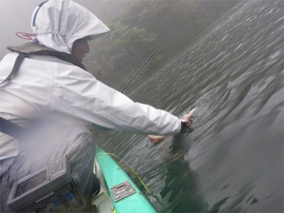 プロショップオオツカ バスフィッシング用品ネット通信販売 ブログ写真 2010/10/01