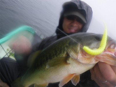 プロショップオオツカ バスフィッシング用品ネット通信販売 ブログ写真 2010/10/01