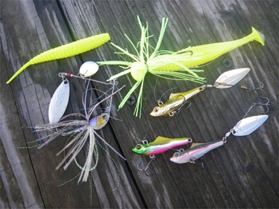 プロショップオオツカ バスフィッシング用品ネット通信販売 ブログ写真 2010/10/01