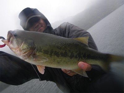 プロショップオオツカ バスフィッシング用品ネット通信販売 ブログ写真 2010/10/01