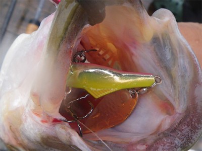 プロショップオオツカ バスフィッシング用品ネット通信販売 ブログ写真 2010/10/01