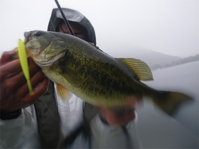 プロショップオオツカ バスフィッシング用品ネット通信販売 ブログ写真 2010/10/01