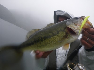 プロショップオオツカ バスフィッシング用品ネット通信販売 ブログ写真 2010/10/01