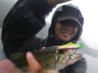 プロショップオオツカ バスフィッシング用品ネット通信販売 ブログ写真 2010/10/01