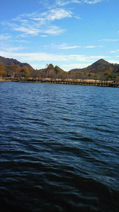 プロショップオオツカ バスフィッシング用品ネット通信販売 ブログ写真 2010/10/29