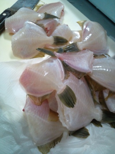 プロショップオオツカ バスフィッシング用品ネット通信販売 ブログ写真 2010/11/17