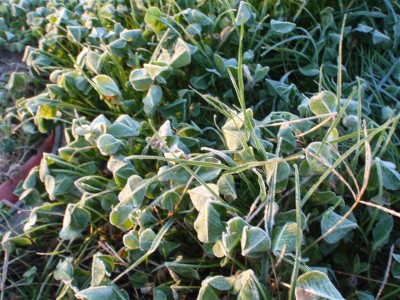 プロショップオオツカ バスフィッシング用品ネット通信販売 ブログ写真 2010/12/01