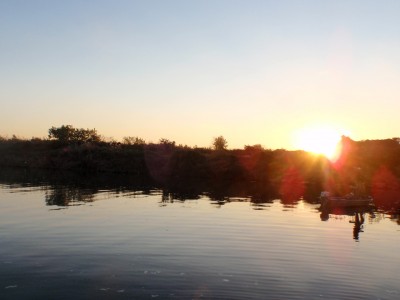 プロショップオオツカ バスフィッシング用品ネット通信販売 ブログ写真 2010/12/01