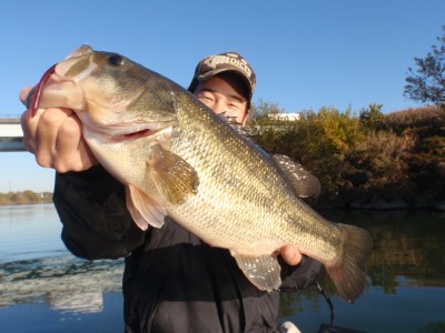 プロショップオオツカ バスフィッシング用品ネット通信販売 ブログ写真 2010/12/01