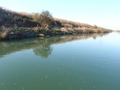 プロショップオオツカ バスフィッシング用品ネット通信販売 ブログ写真 2010/12/01