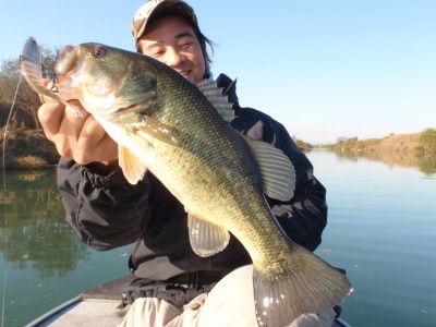 プロショップオオツカ バスフィッシング用品ネット通信販売 ブログ写真 2010/12/01