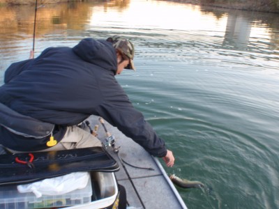 プロショップオオツカ バスフィッシング用品ネット通信販売 ブログ写真 2010/12/01