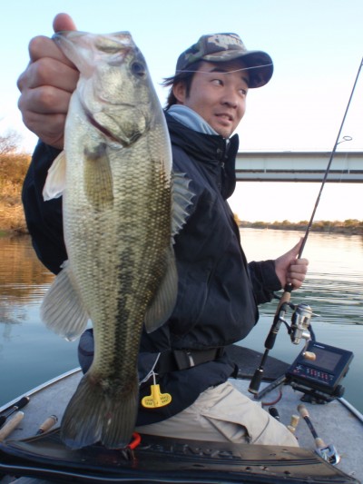 プロショップオオツカ バスフィッシング用品ネット通信販売 ブログ写真 2010/12/01