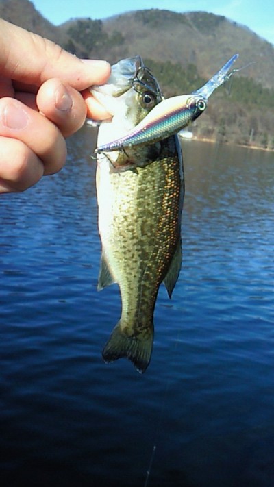 プロショップオオツカ バスフィッシング用品ネット通信販売 ブログ写真 2010/12/06