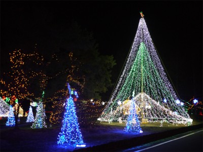 プロショップオオツカ バスフィッシング用品ネット通信販売 ブログ写真 2010/12/16