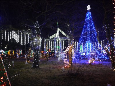 プロショップオオツカ バスフィッシング用品ネット通信販売 ブログ写真 2010/12/16