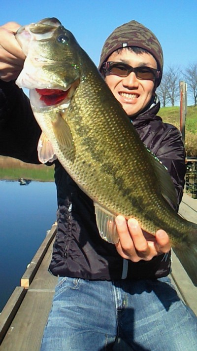 プロショップオオツカ バスフィッシング用品ネット通信販売 ブログ写真 2010/12/20